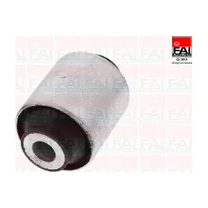 SS10067 FAI AutoParts