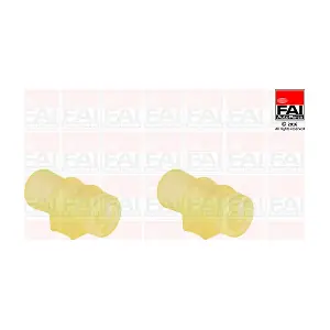 SS2188K FAI AutoParts