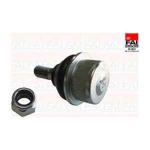 SS10711 FAI AutoParts