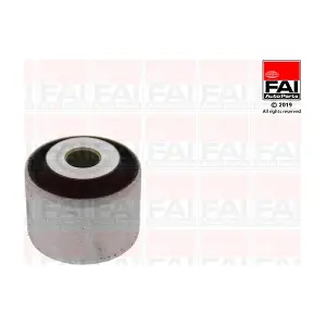 SS10393 FAI AutoParts