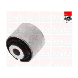 SS9896 FAI AutoParts