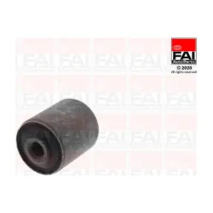 SS10589 FAI AutoParts