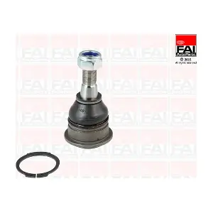 SS6081 FAI AutoParts