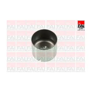 FAI AutoParts BFS100S