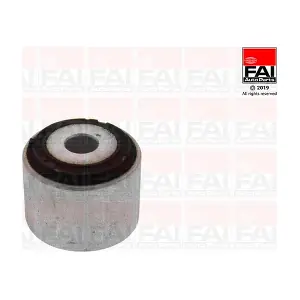 SS10306 FAI AutoParts
