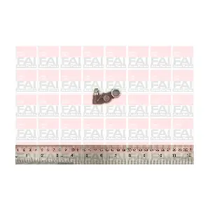 R187S FAI AutoParts