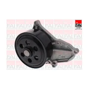 WP6678 FAI AutoParts