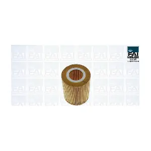 FPOF160 FAI AutoParts