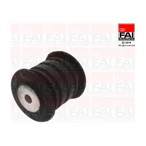 SS10581 FAI AutoParts