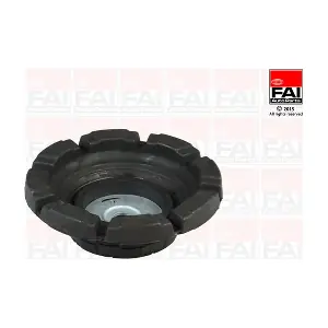 SS7881 FAI AutoParts