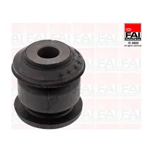 SS10787 FAI AutoParts