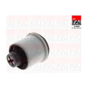 SS10423 FAI AutoParts