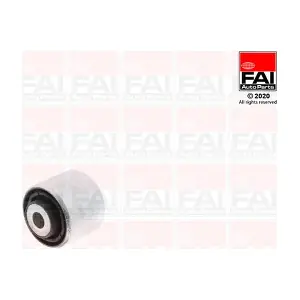 SS10301 FAI AutoParts