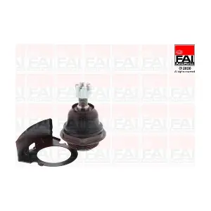 SS10290 FAI AutoParts