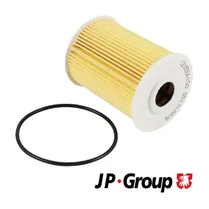 JP GROUP 1218506100