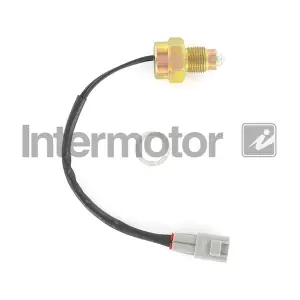 INTERMOTOR 55001