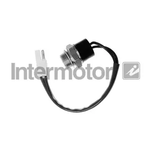 INTERMOTOR 50290