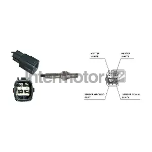 INTERMOTOR 66013