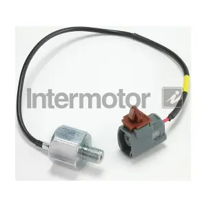 INTERMOTOR 19586