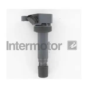 INTERMOTOR 12213
