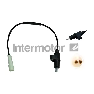 INTERMOTOR 60540