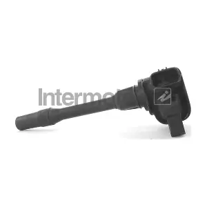 INTERMOTOR 12876