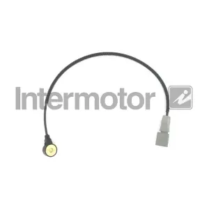 70018 INTERMOTOR
