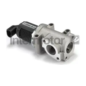 INTERMOTOR 14313