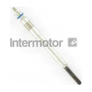 INTERMOTOR W424