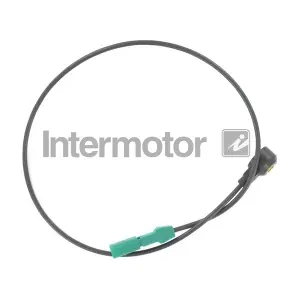 70019 INTERMOTOR