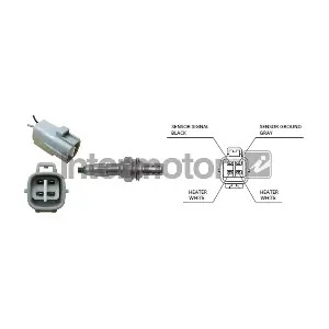 INTERMOTOR 64906