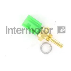 INTERMOTOR 55123