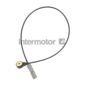 70020 INTERMOTOR