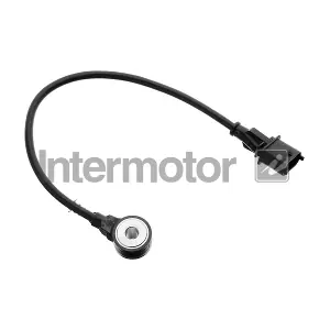 INTERMOTOR 19535