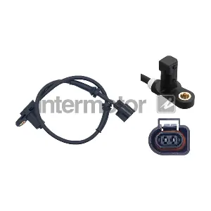 INTERMOTOR 60001