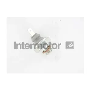 INTERMOTOR 51031