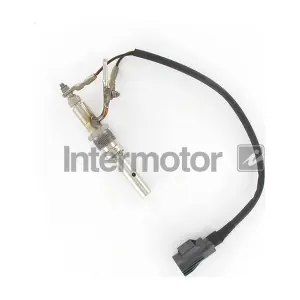 81011 INTERMOTOR