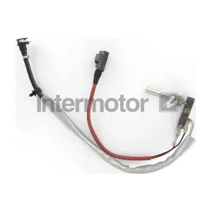 81009 INTERMOTOR