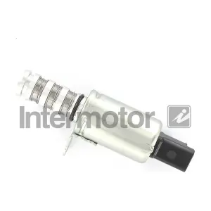 INTERMOTOR 17309