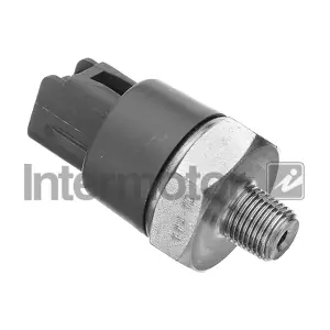 INTERMOTOR 51181