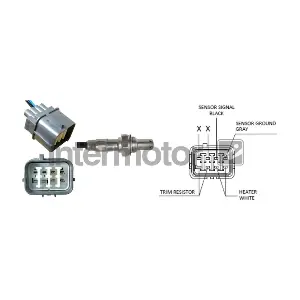 INTERMOTOR 64993