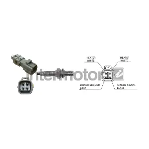 INTERMOTOR 66010