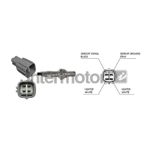INTERMOTOR 66003