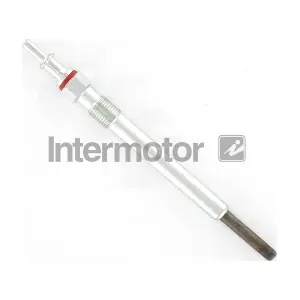 INTERMOTOR W423