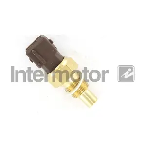 55541 INTERMOTOR