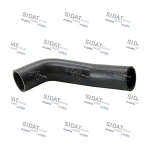501067 SIDAT