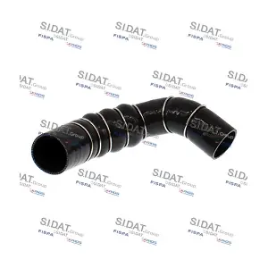 501541 SIDAT