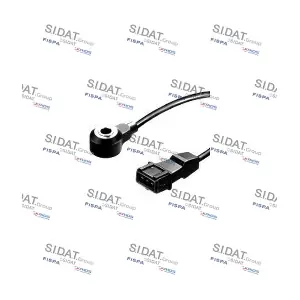 84.005 SIDAT