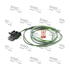 405213 SIDAT