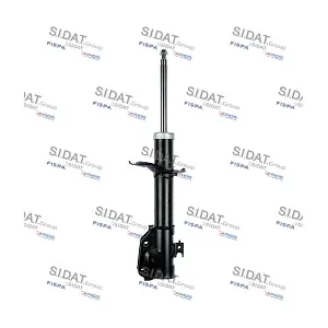 F210G0497 SIDAT